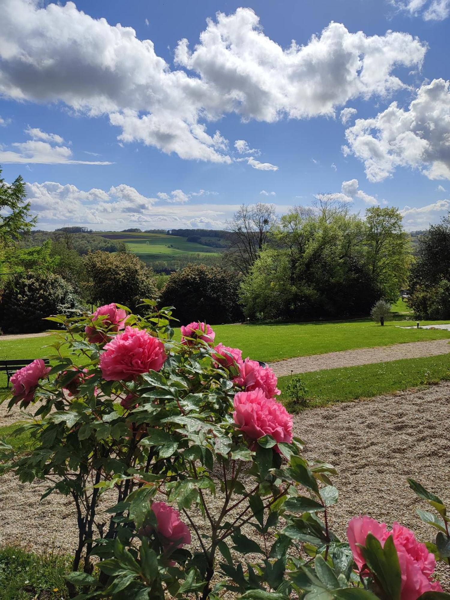 Bed and Breakfast Demeure De La Garenne Montmirail  Esterno foto